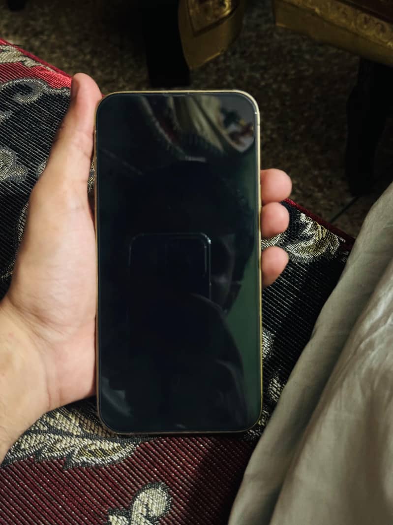 Apple iPhone 13 Pro Max 2