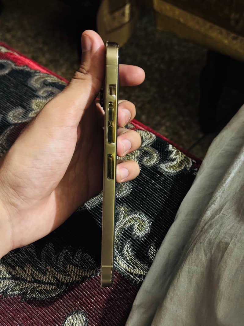 Apple iPhone 13 Pro Max 6