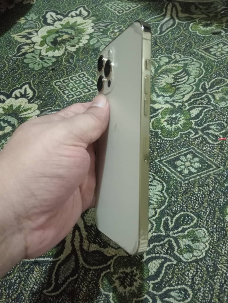 Apple iPhone 12 Pro Max 1