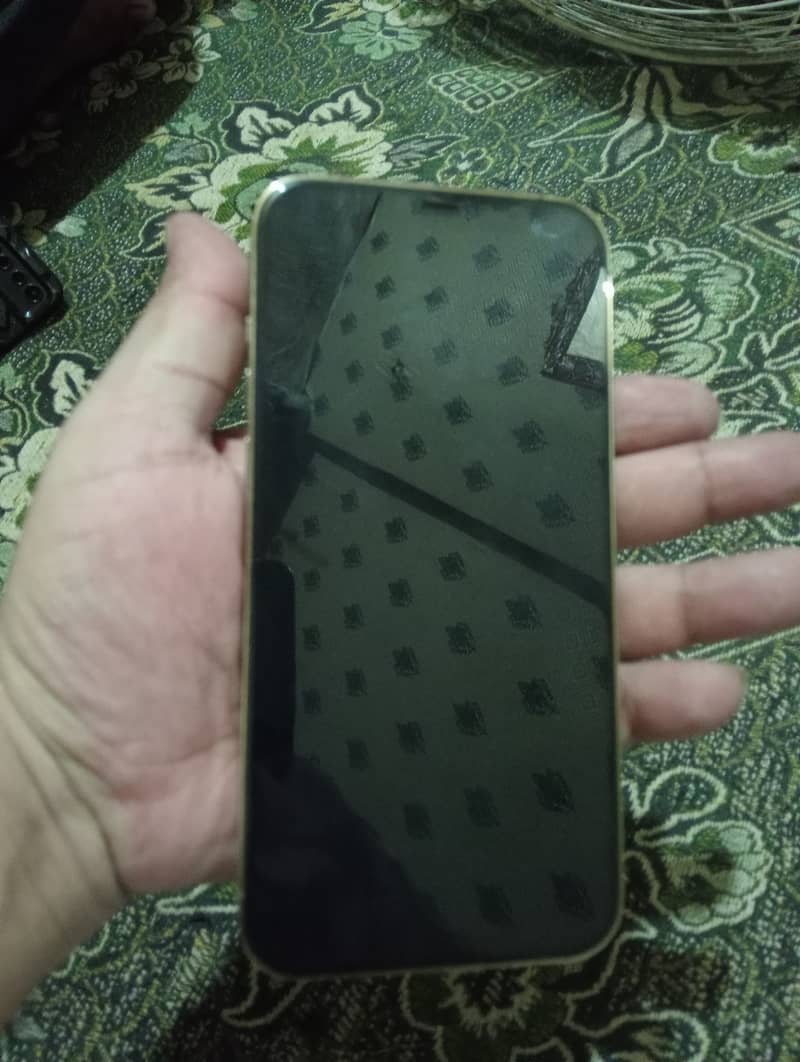 Apple iPhone 12 Pro Max 5