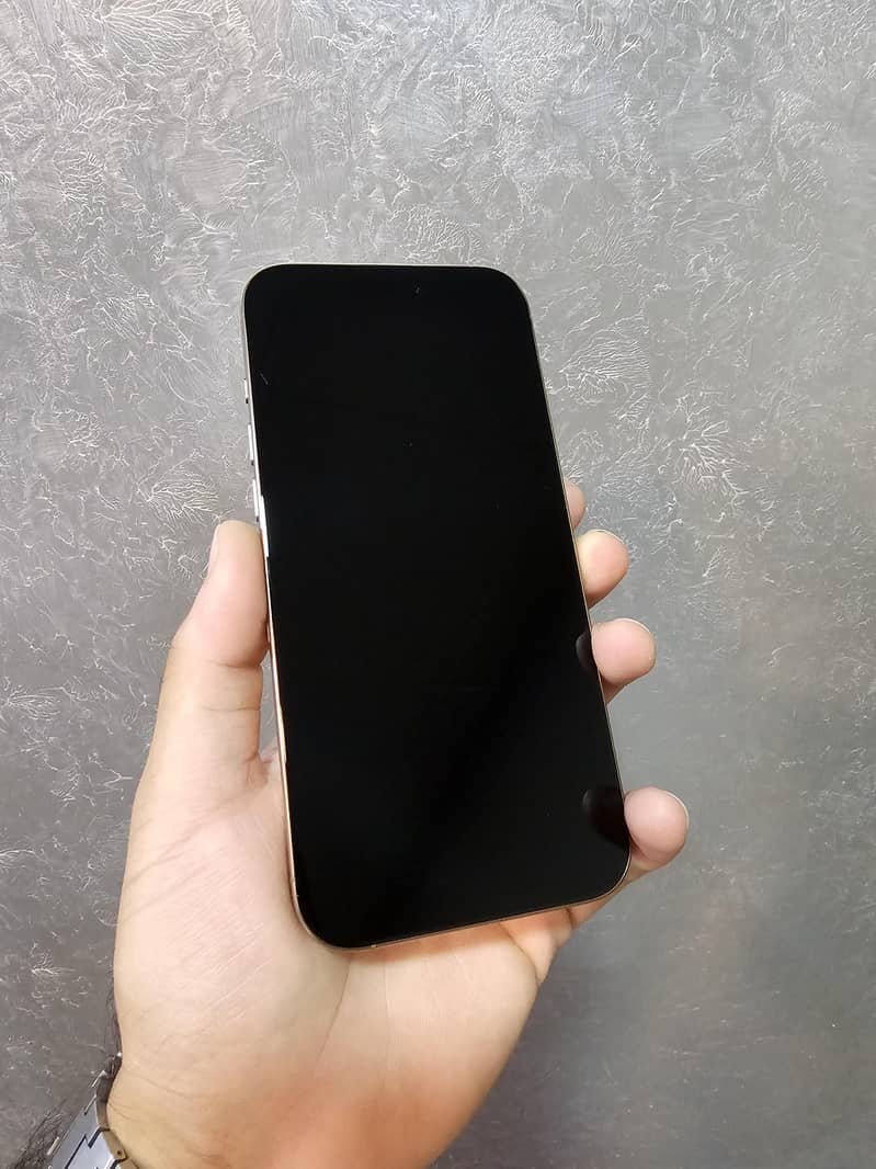 Apple iPhone 16 Pro Max 1