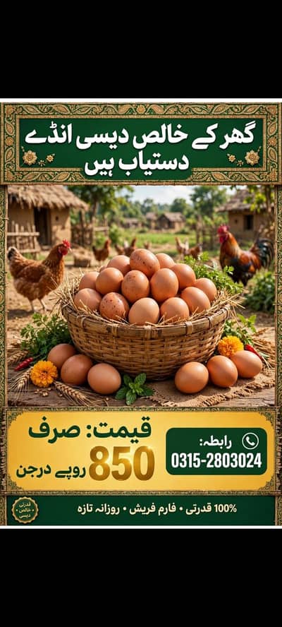 dase egg