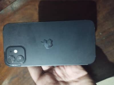 iPhone 12