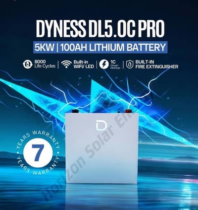Dyness Lithium ion batteries