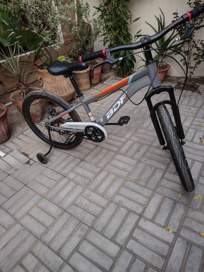 BDT mountain cycle for sale