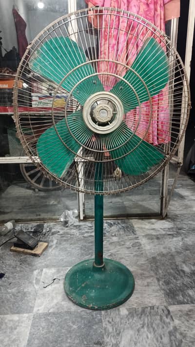 madina fan