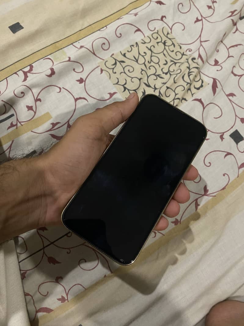Apple iPhone 13 Pro 0