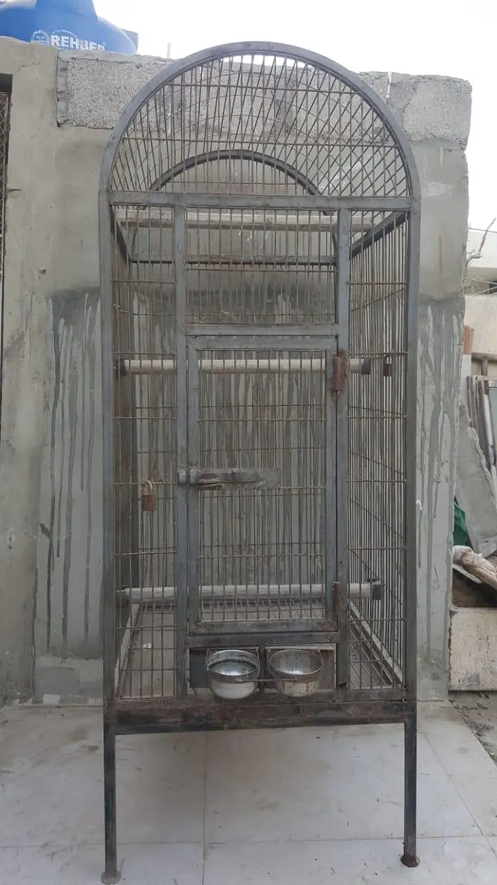 this page is macaw cage