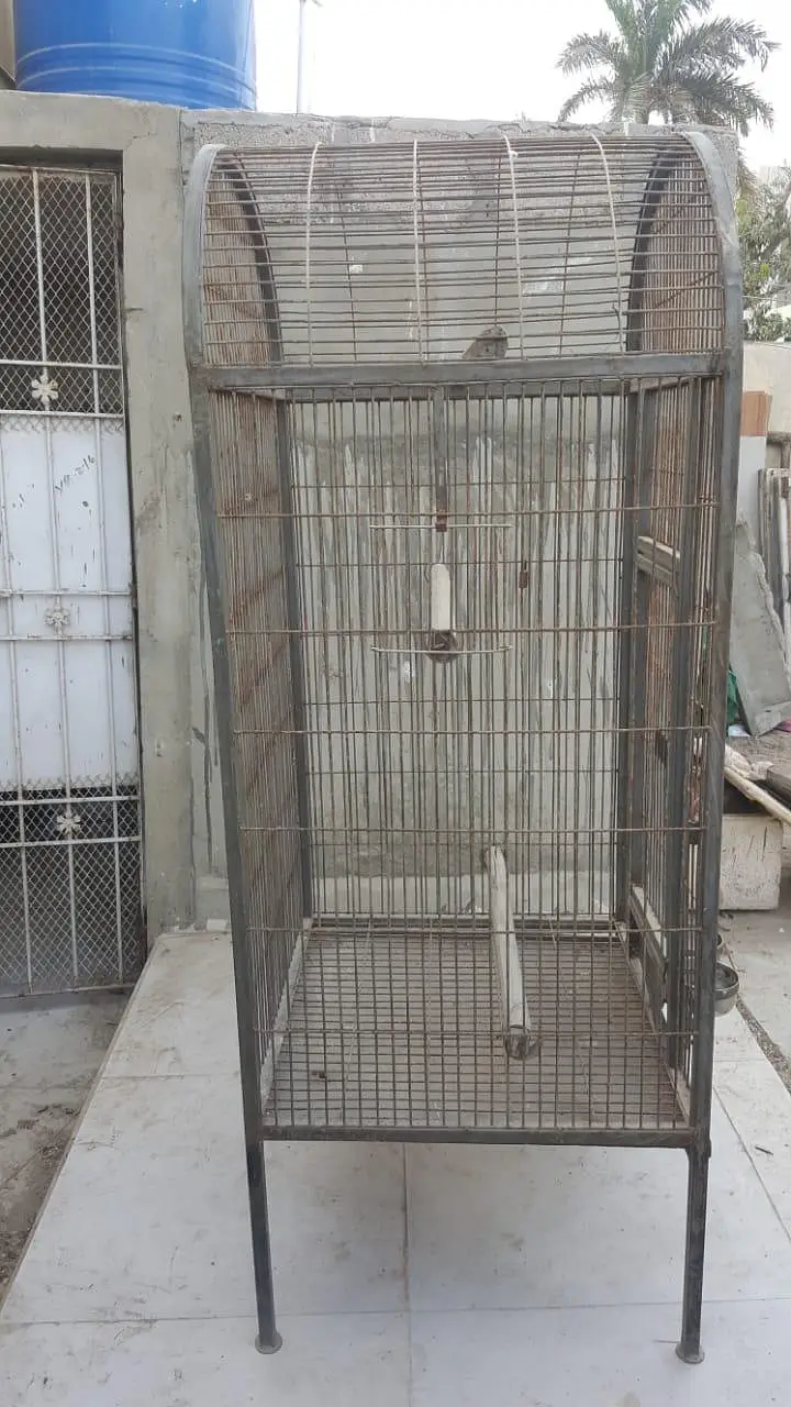 this page is macaw cage — photo 2