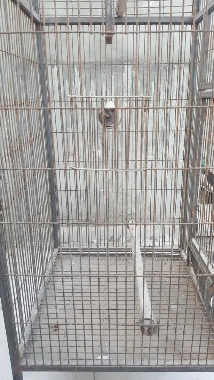 this page is macaw cage — photo 3