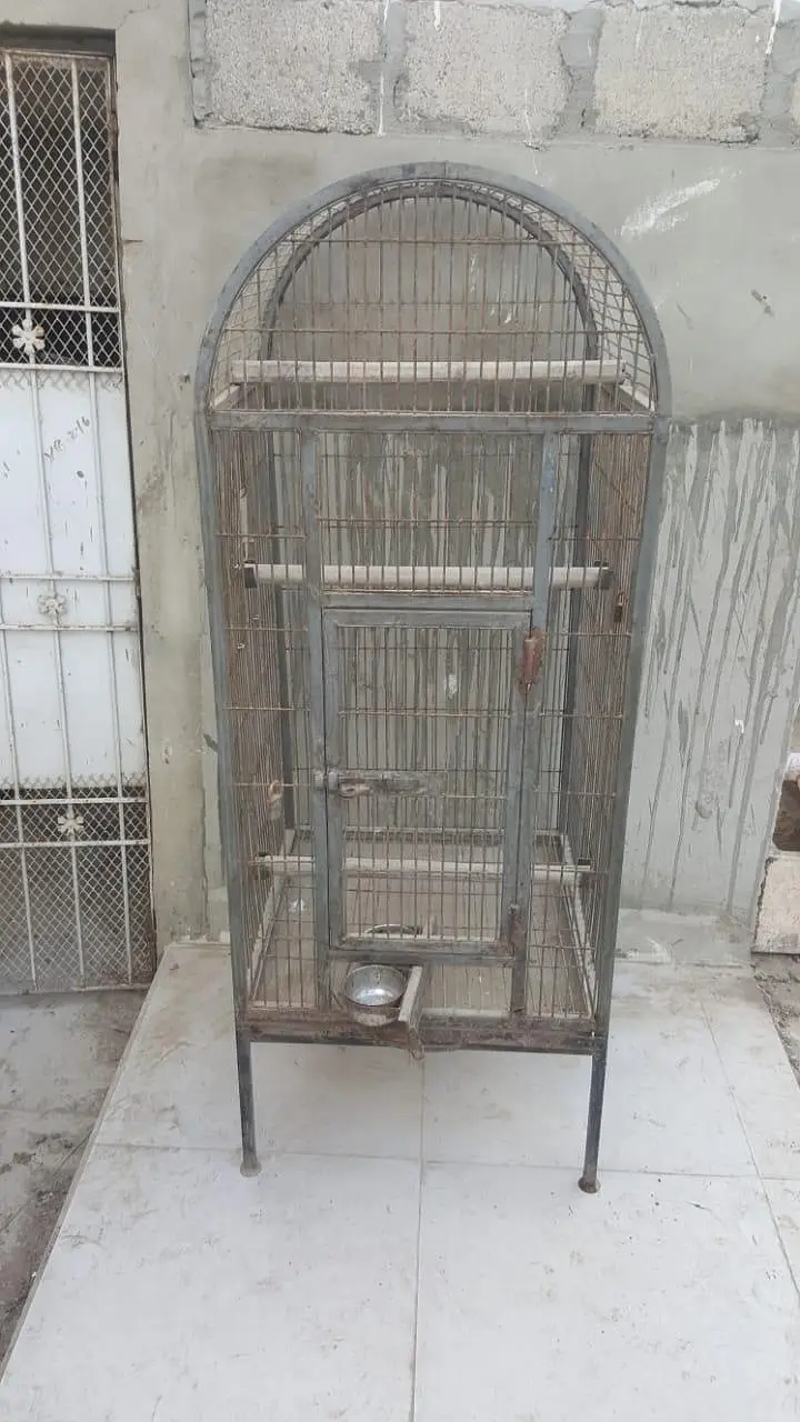 this page is macaw cage — photo 4