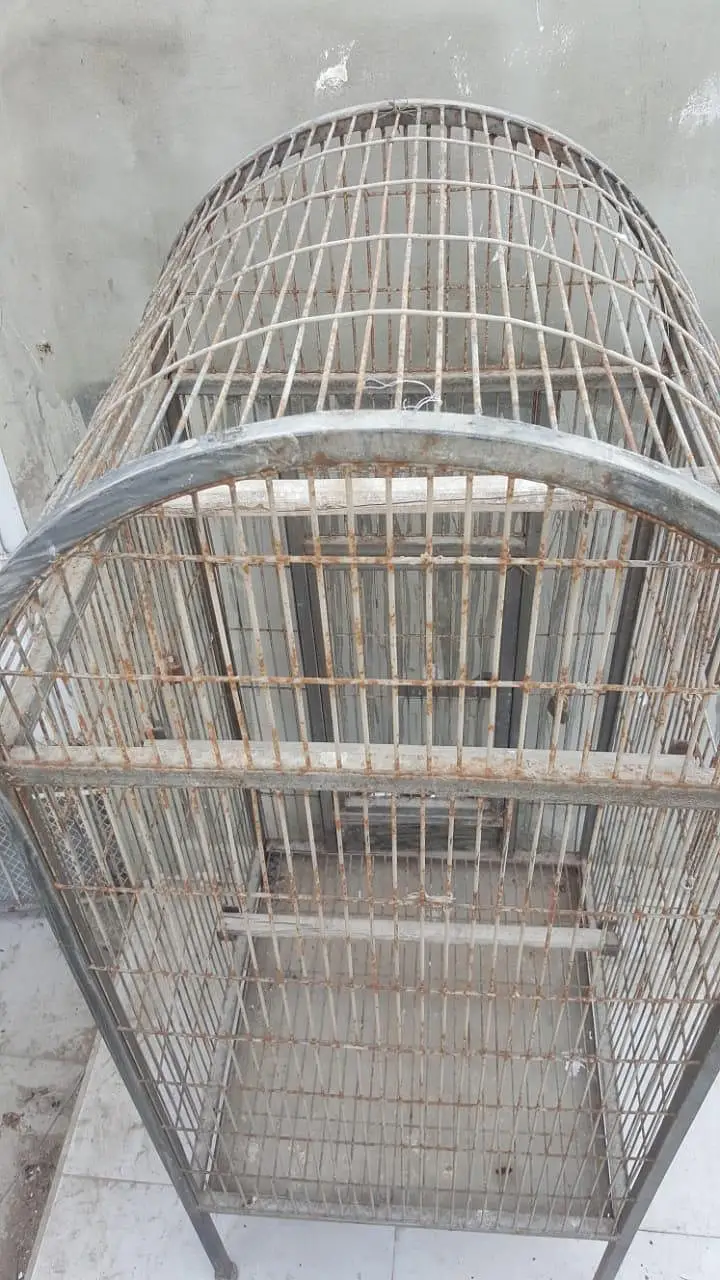 this page is macaw cage — photo 5