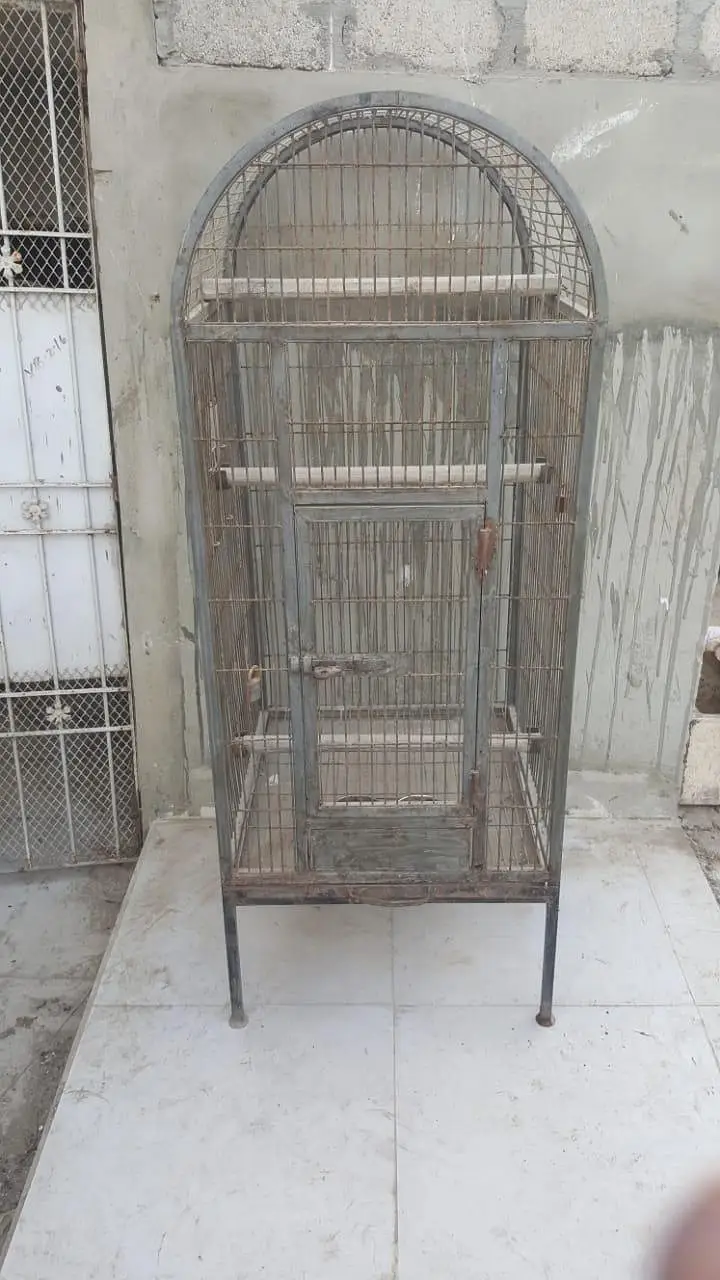 this page is macaw cage — photo 7