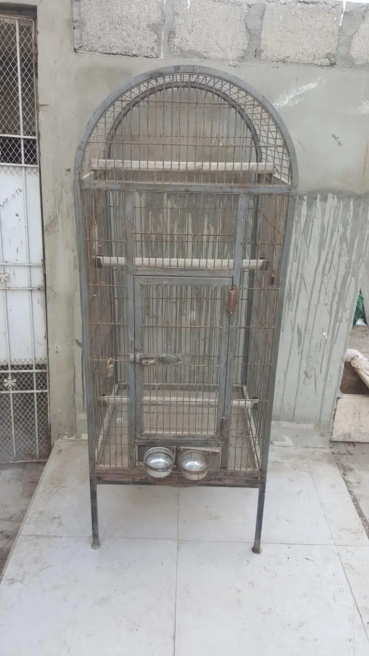 this page is macaw cage — photo 8