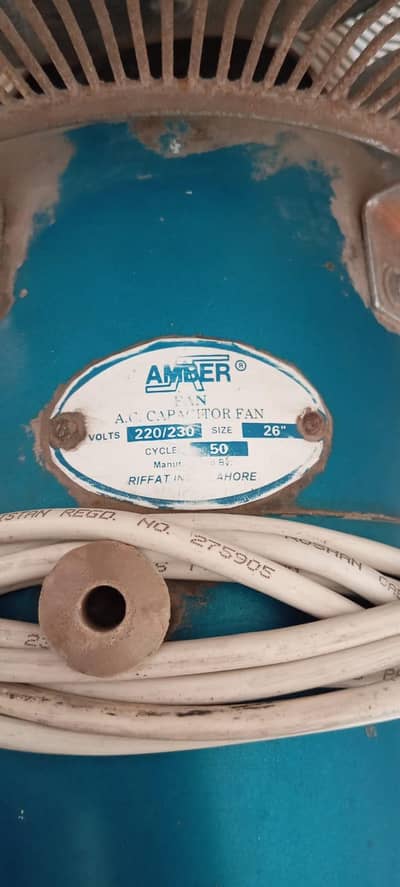Amber Fans