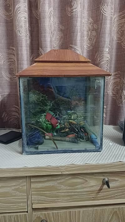 Aquarium