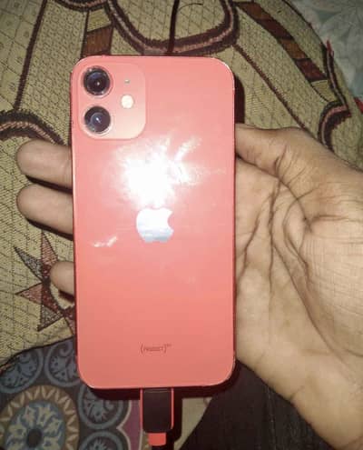 Apple iPhone 12 mini bh 84%