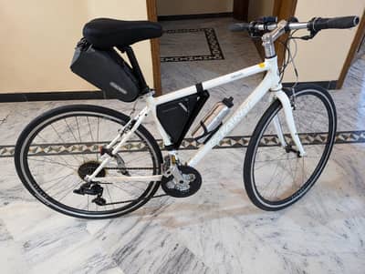 Giant Escape R3 Bicycle