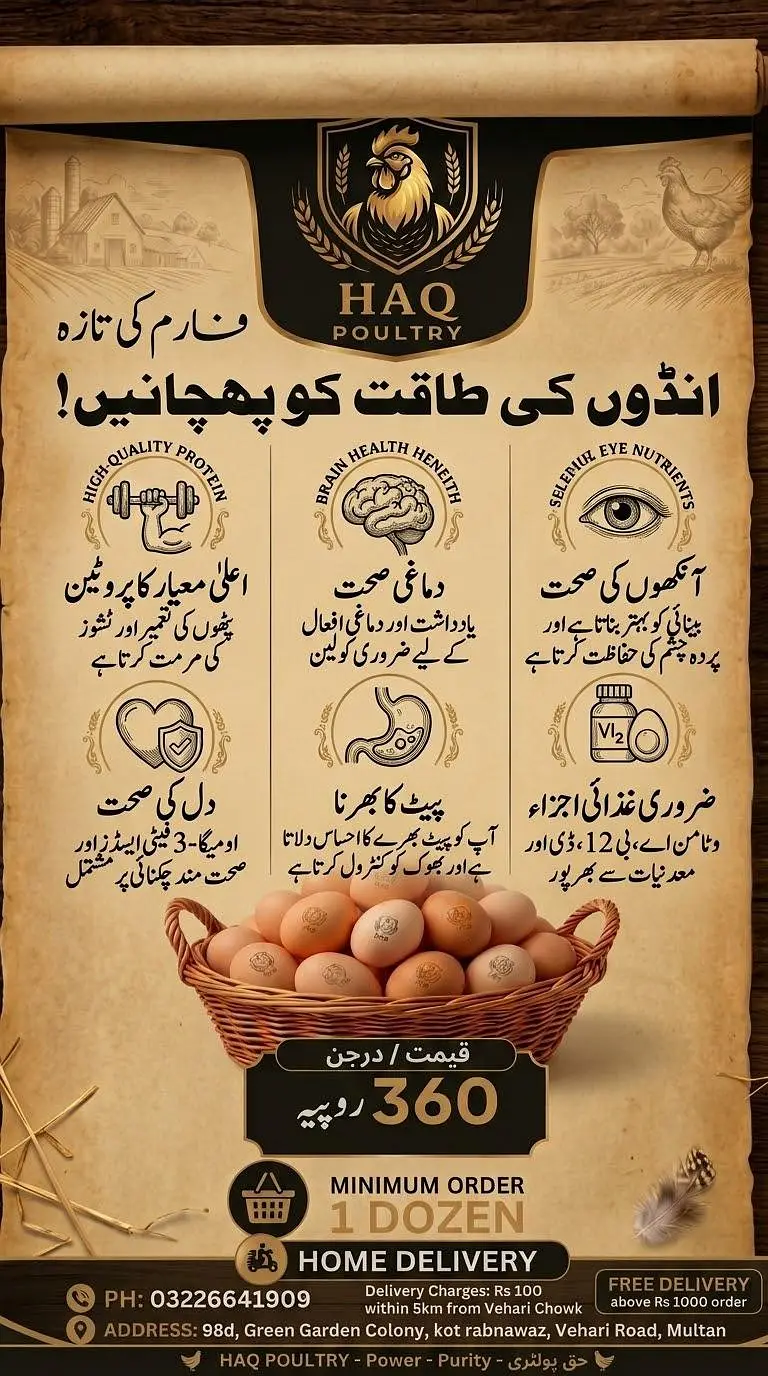 Desi Organic Eggs Available — photo 3