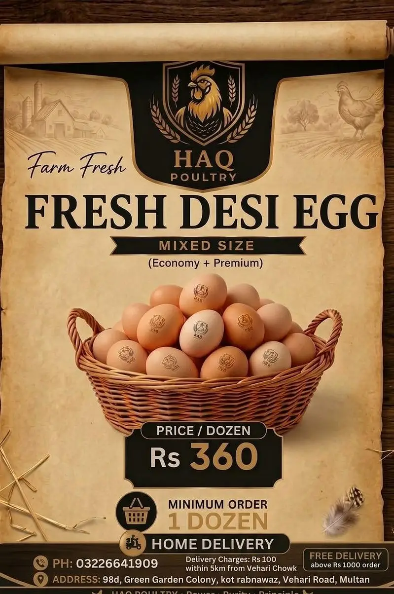 Desi Organic Eggs Available — photo 4