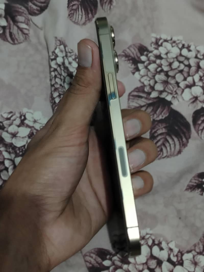 Apple iPhone 13 Pro Max 1
