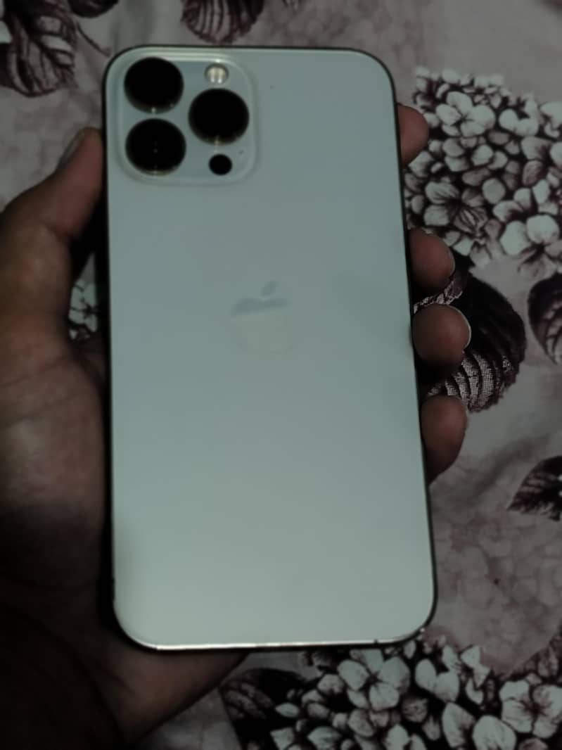 Apple iPhone 13 Pro Max 2