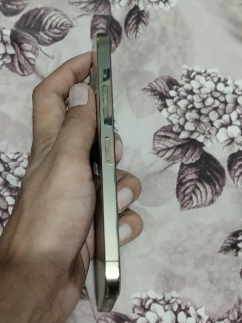Apple iPhone 13 Pro Max 3