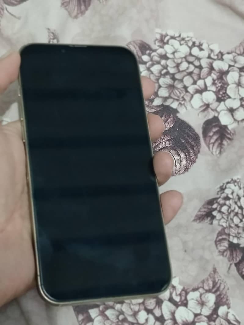 Apple iPhone 13 Pro Max 5