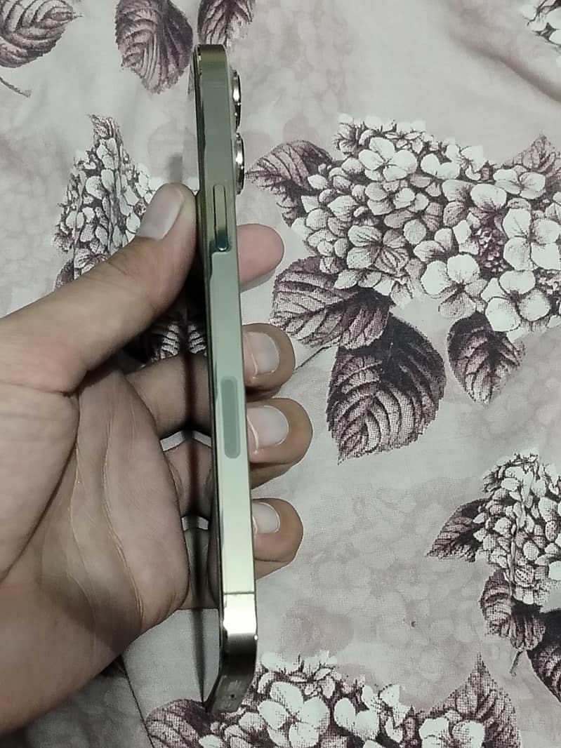 Apple iPhone 13 Pro Max 6