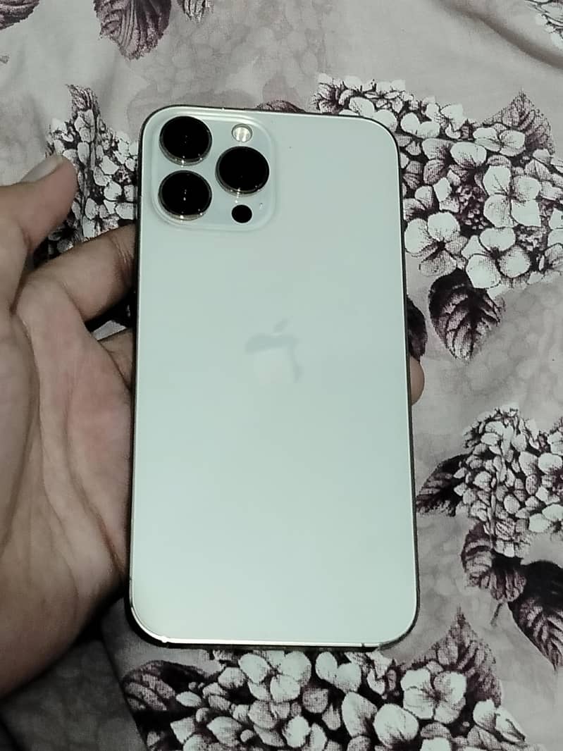Apple iPhone 13 Pro Max 7
