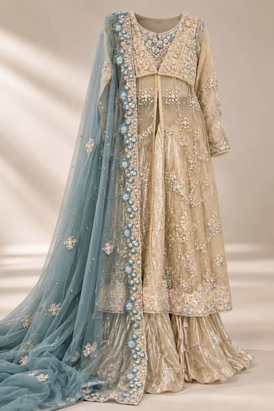 Luxury Preowned Engagement dress | Heavy Embroidery