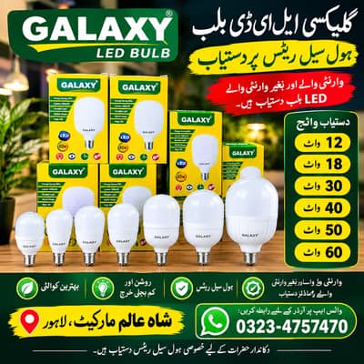 LED bulbs and two pin shoo