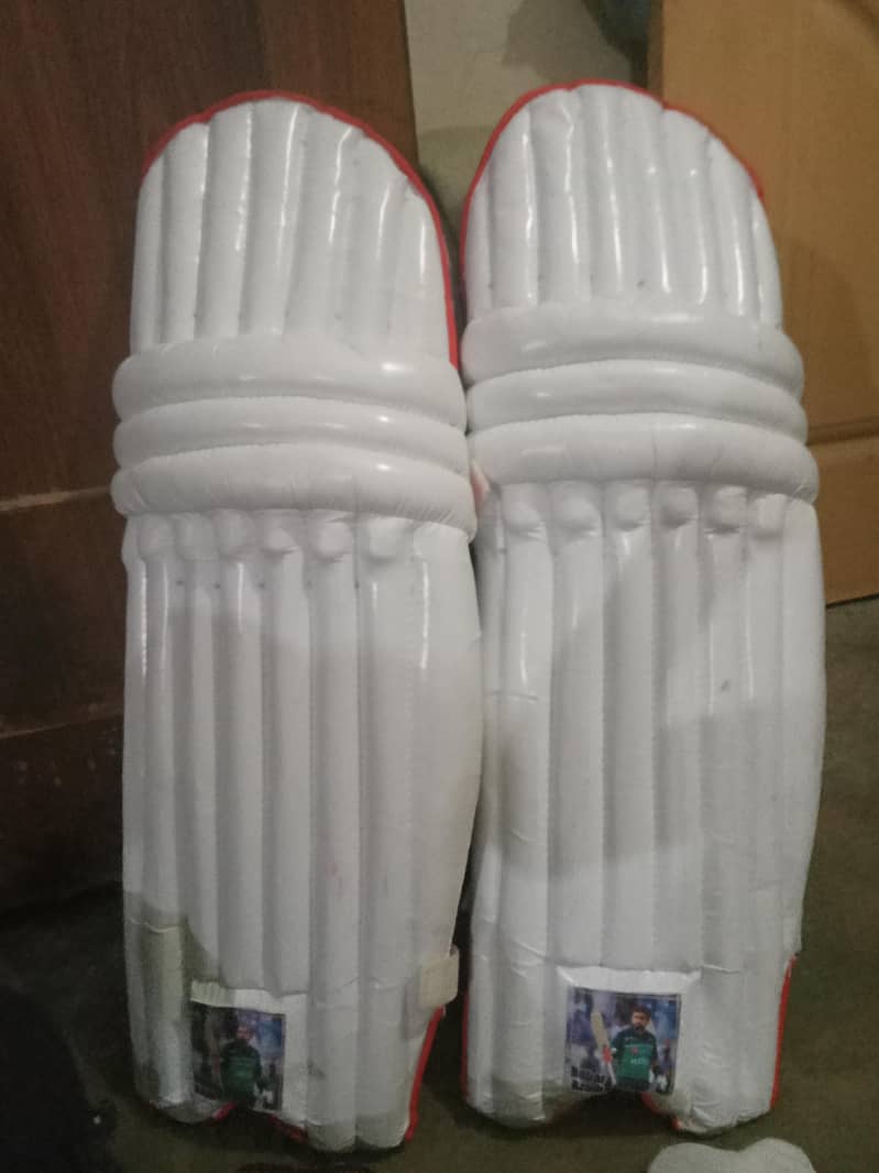 cricket 5