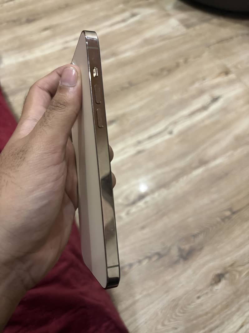 Apple iPhone 14 Pro Max 1