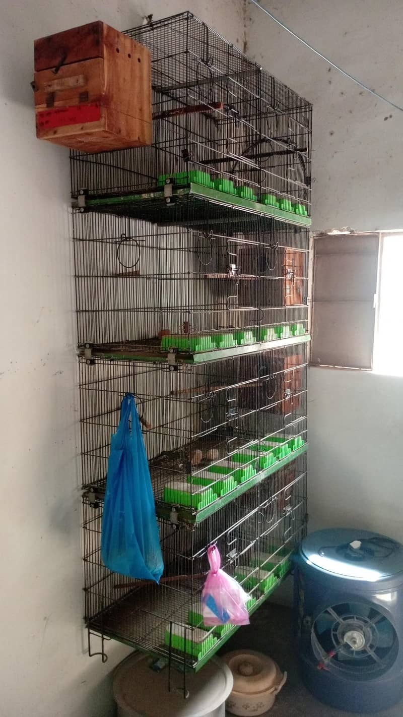 Bird Cages 2