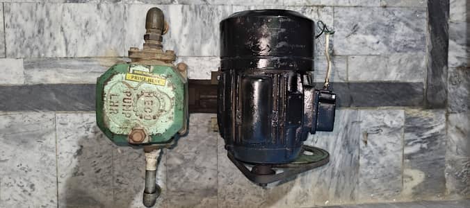 100% Pure Copper Water Pump for Sale