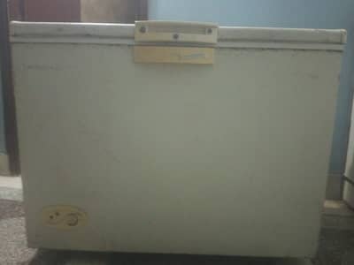 Waves 12 CFT Deep Freezer – Single Door – Excellent Condition