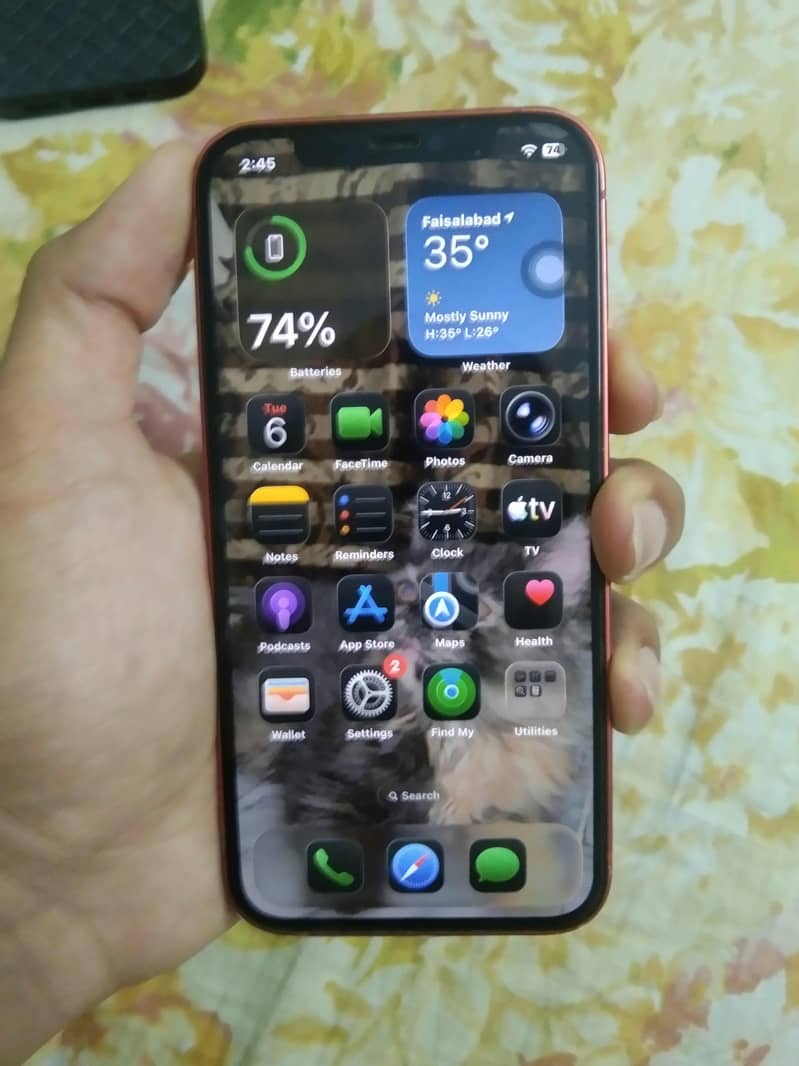 Apple iPhone 12 1