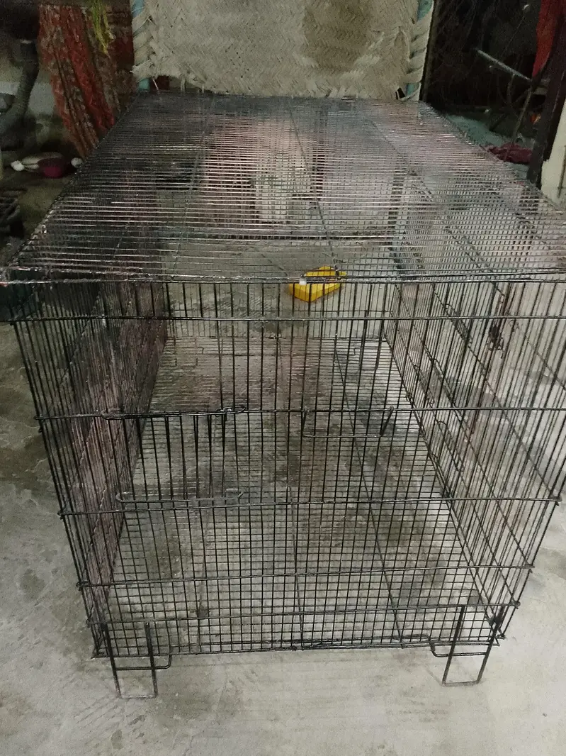 Iron cage for hen, parrot and cats — photo 3