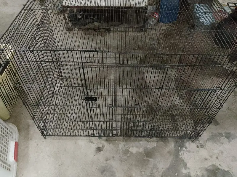 Iron cage for hen, parrot and cats