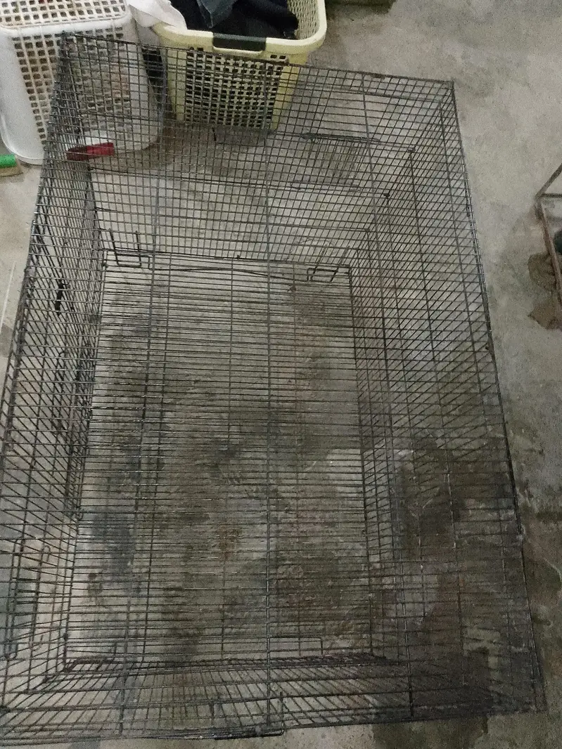 Iron cage for hen, parrot and cats — photo 7