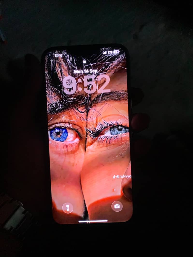 Apple iPhone 13 Pro Max 3