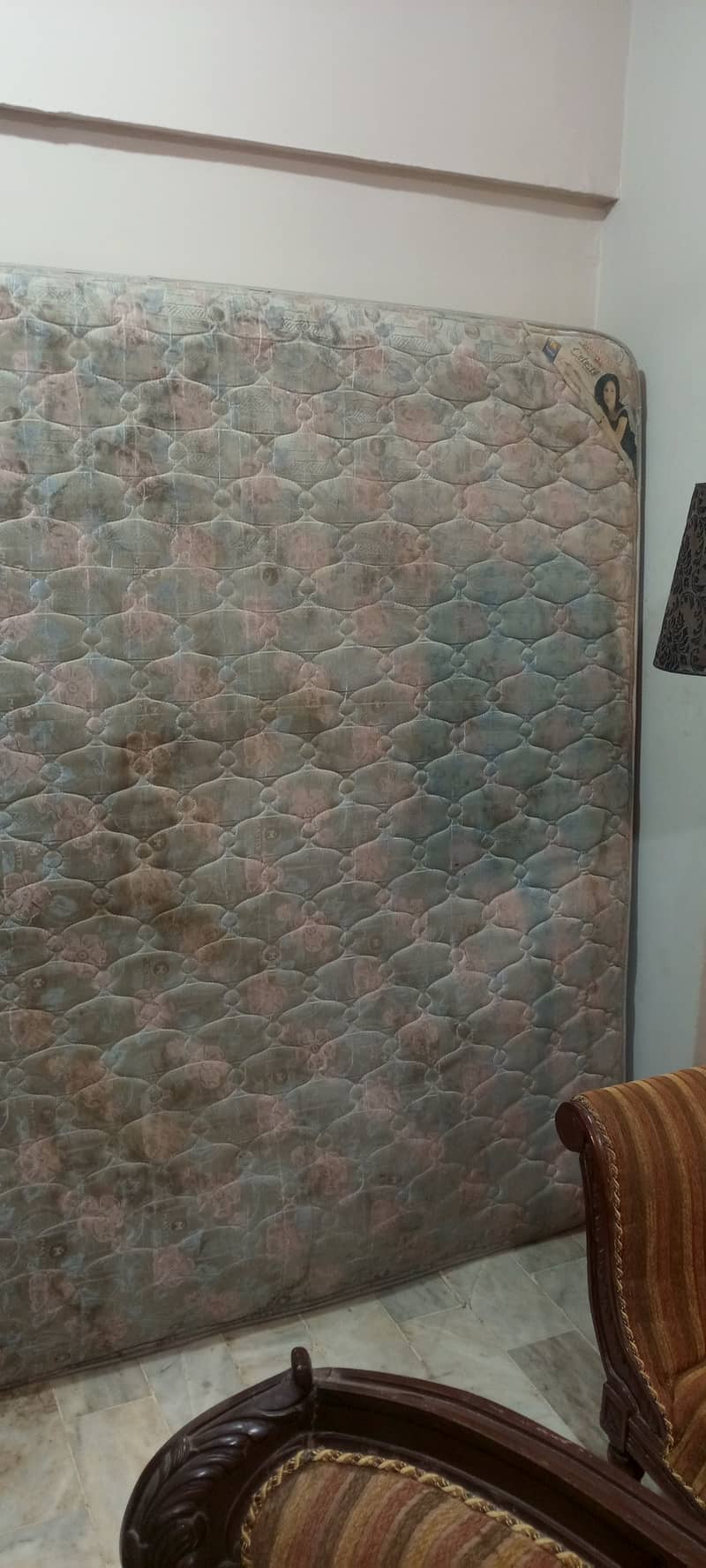 MoltyFoam 0