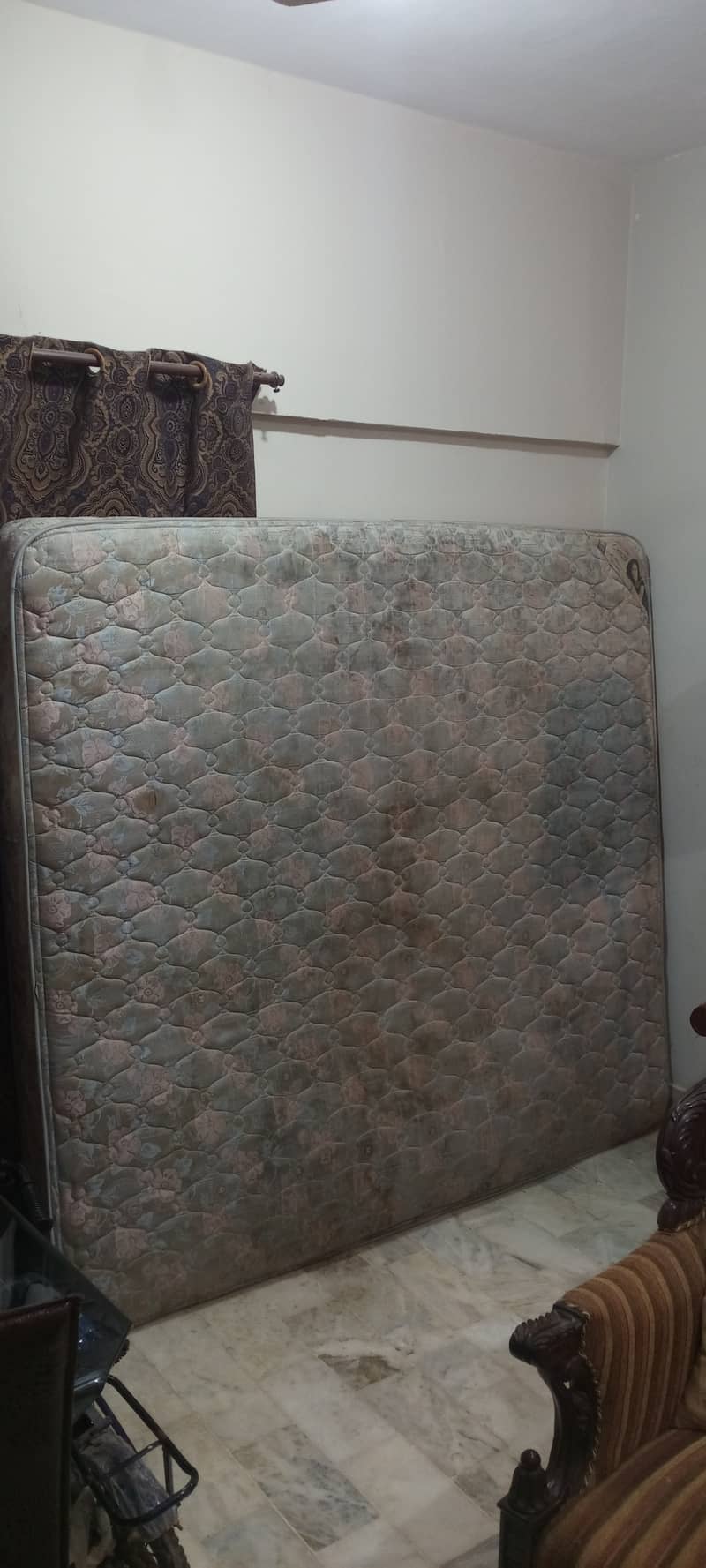 MoltyFoam 1