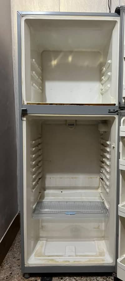 fridge and freezer