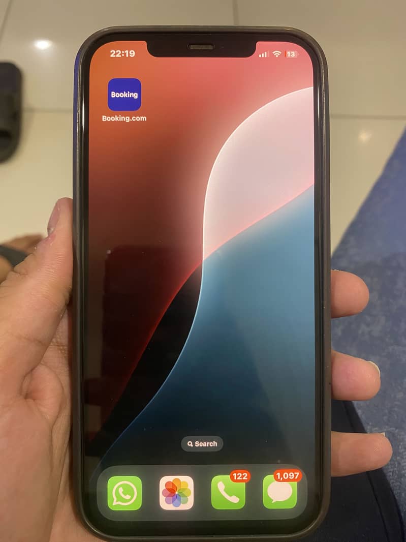 Apple iPhone 12 Pro Max 6