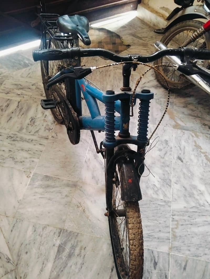 dulex cycle 1