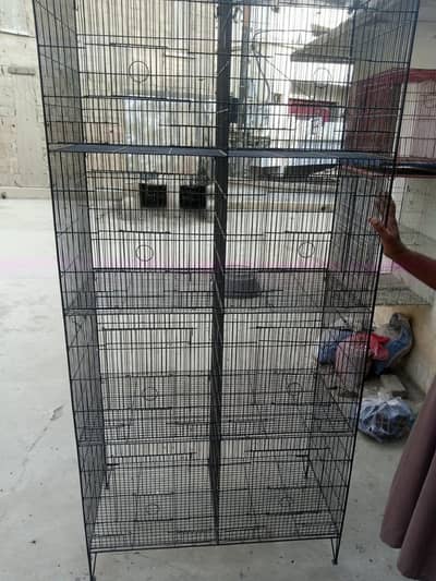 BIRD CAGE