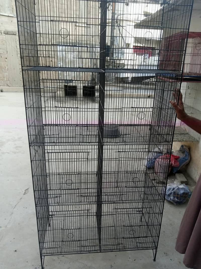 BIRD CAGE 0