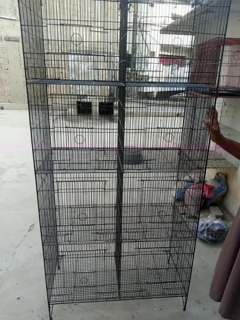 BIRD CAGE